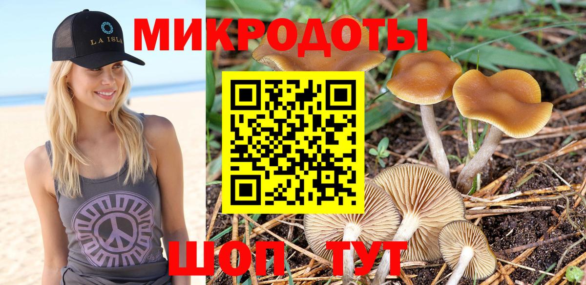 Галлюциногенные грибы Psilocybe Черкесск