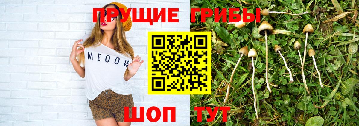 Галлюциногенные грибы ЛСД  Вход с VPN  Черкесск  Псилоцибиновые грибы мухоморы 
